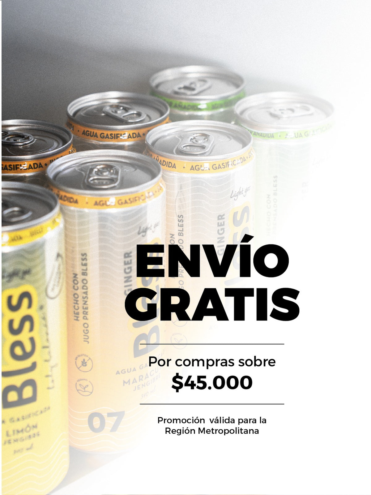 Envío gratis por compras sobre $45.000 en la Región Metropolitana