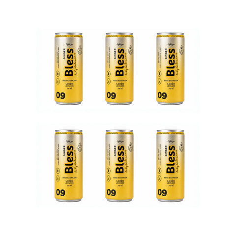 Suscripción Mensual Ginger 09: Limón - Jengibre - Caja 12 x 310ml