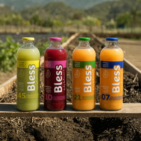 Botellas de Vidrio