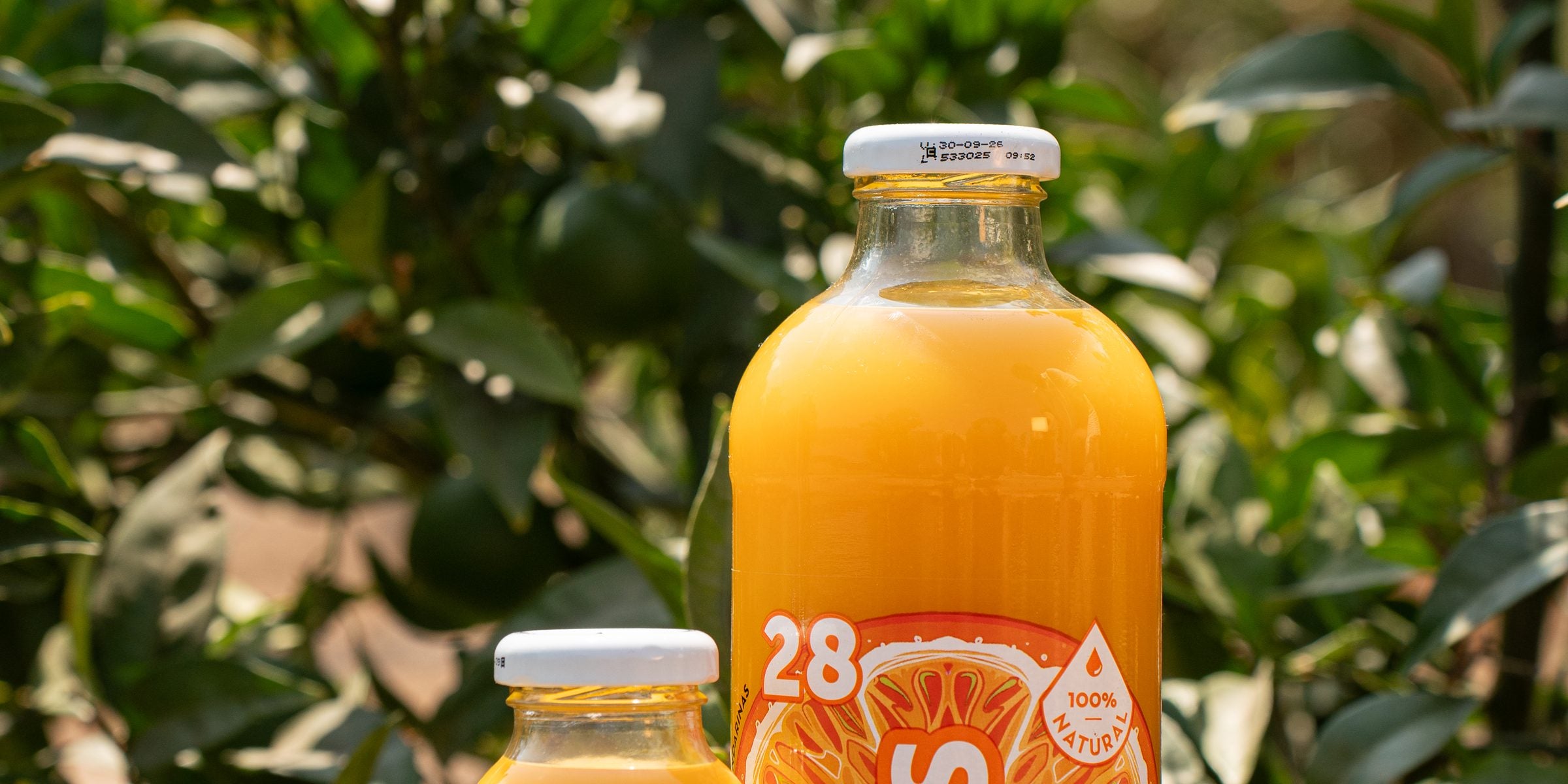 Botellas de jugo Bless de litro y 300 ml en el naranjal