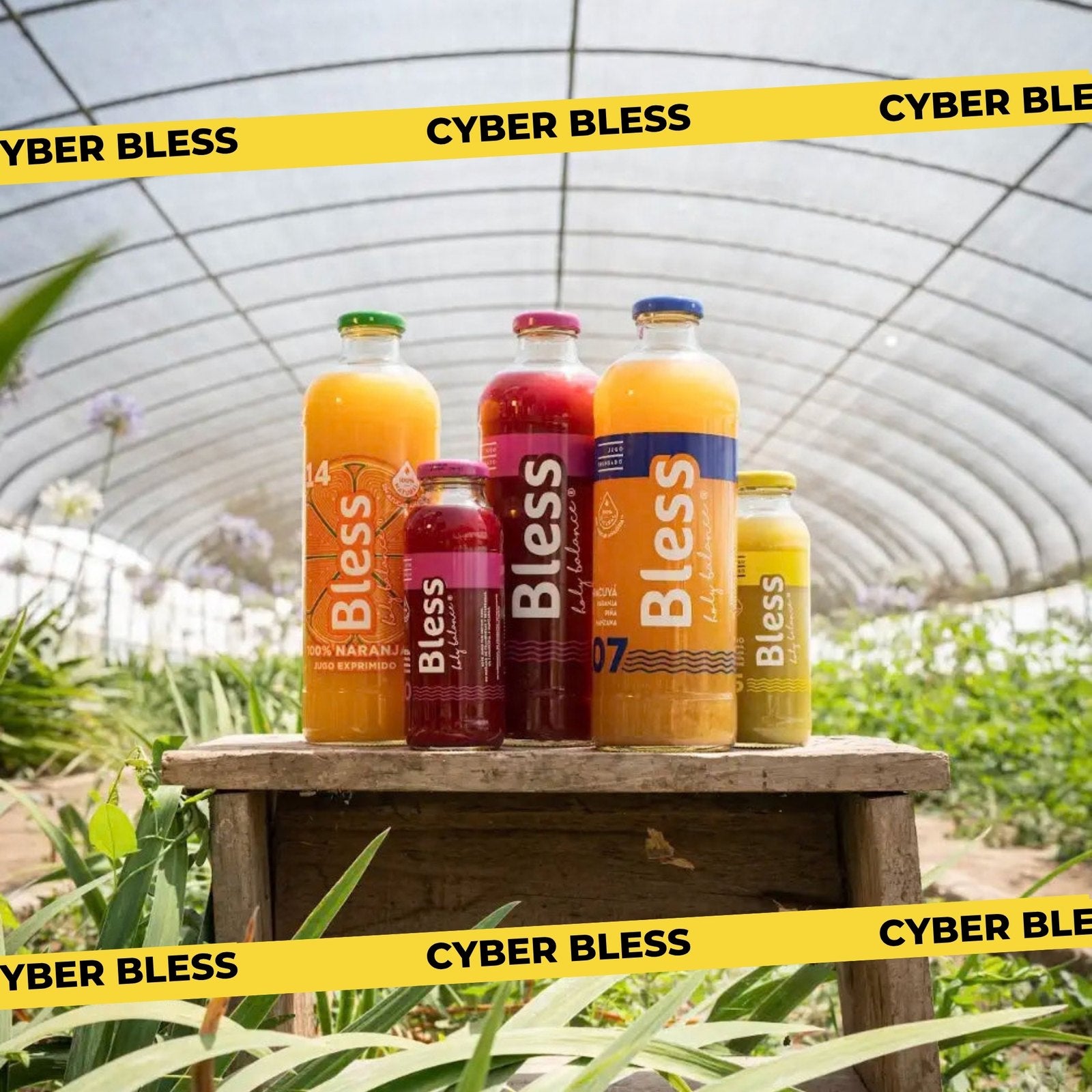Jugos Bless en botella de vidrio